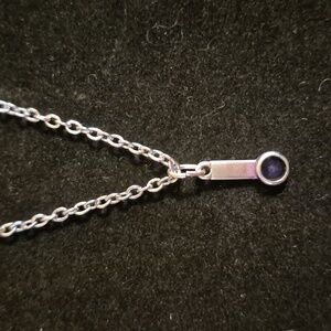 Sapphireskies Designs Sterling & Resin Charm Necklace